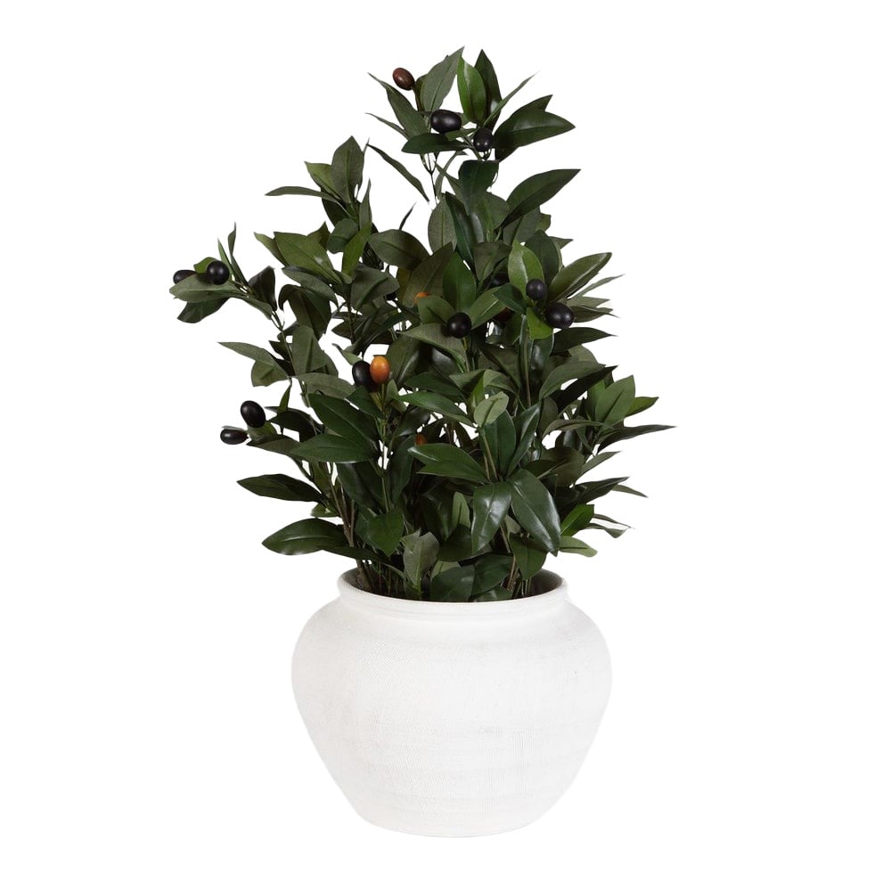 Elena Olive Centerpiece