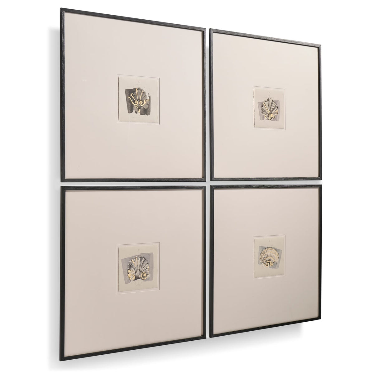 Architectural Clamshells Framed Prints - Set of 4