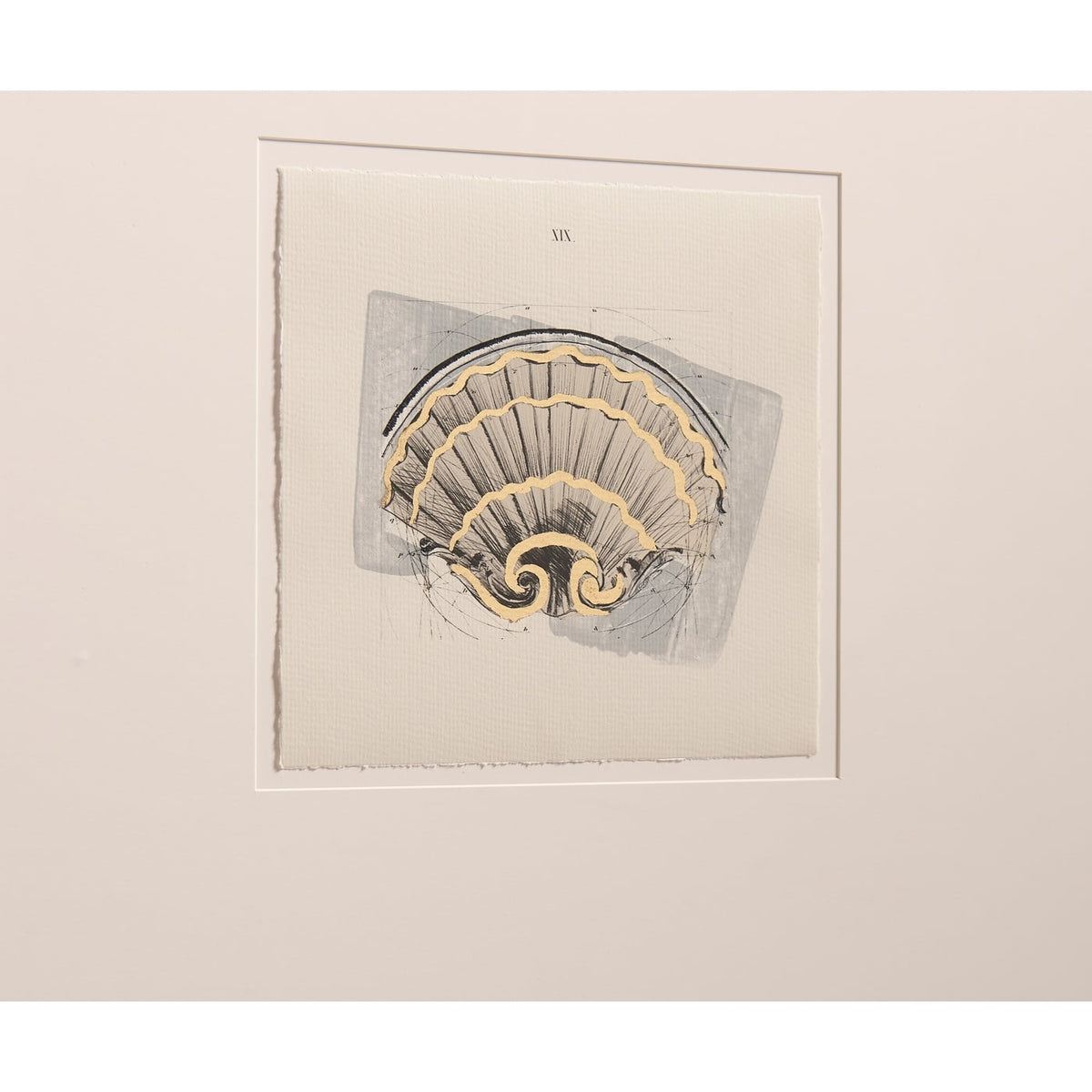 Architectural Clamshells Framed Prints - Set of 4