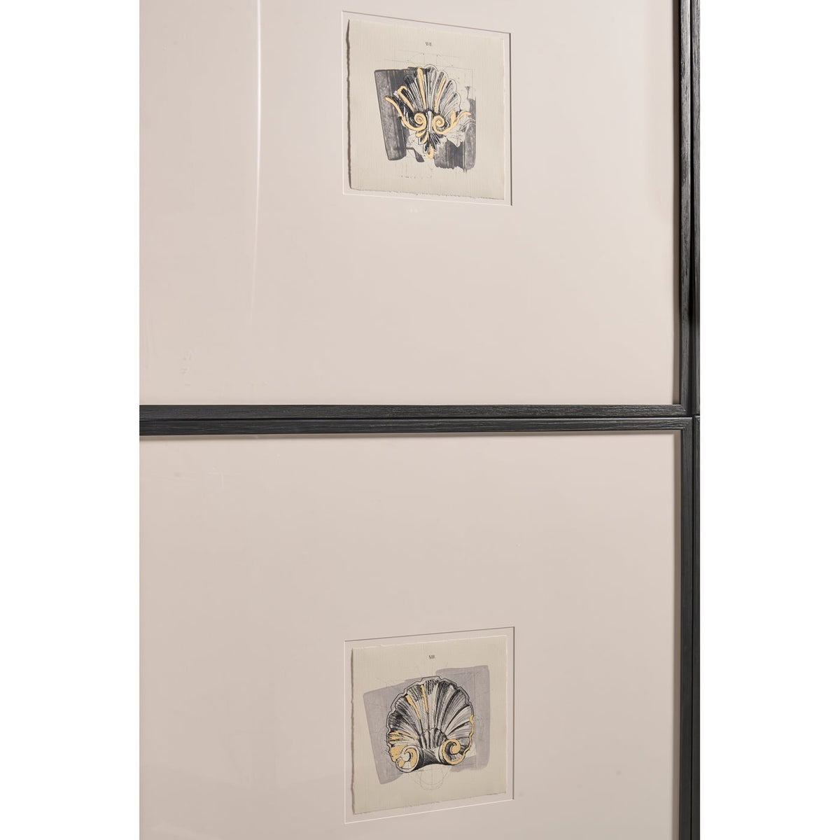 Architectural Clamshells Framed Prints - Set of 4