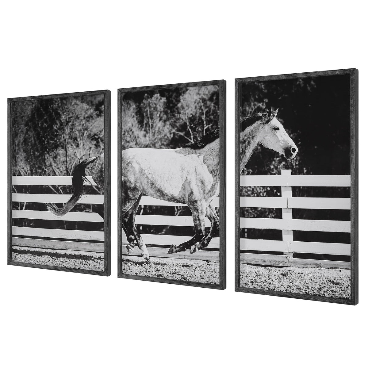 Galloping Forward Equine Prints - Set of 3
