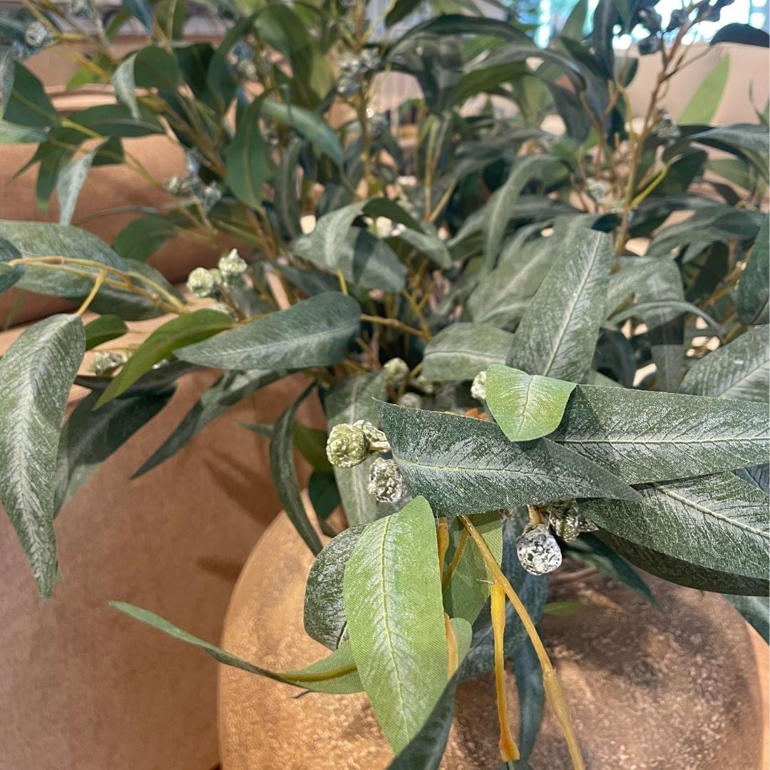 Berry Eucalyptus Spray