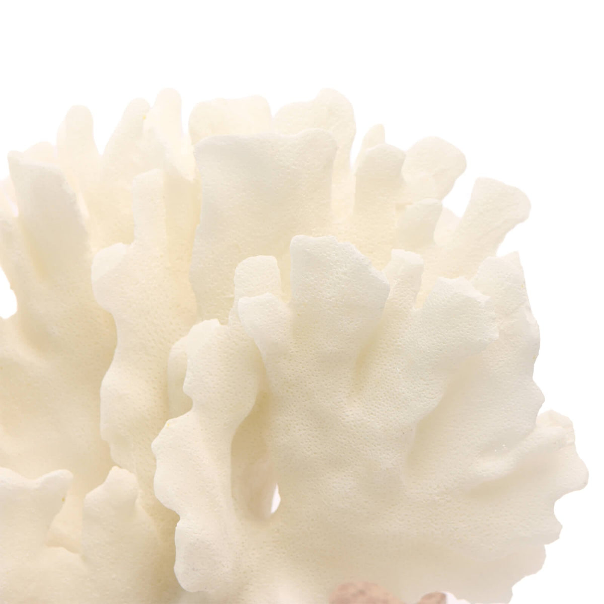 Maris Coral Ornament