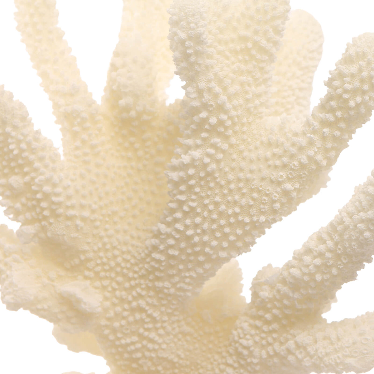 Pearline Coral Ornament