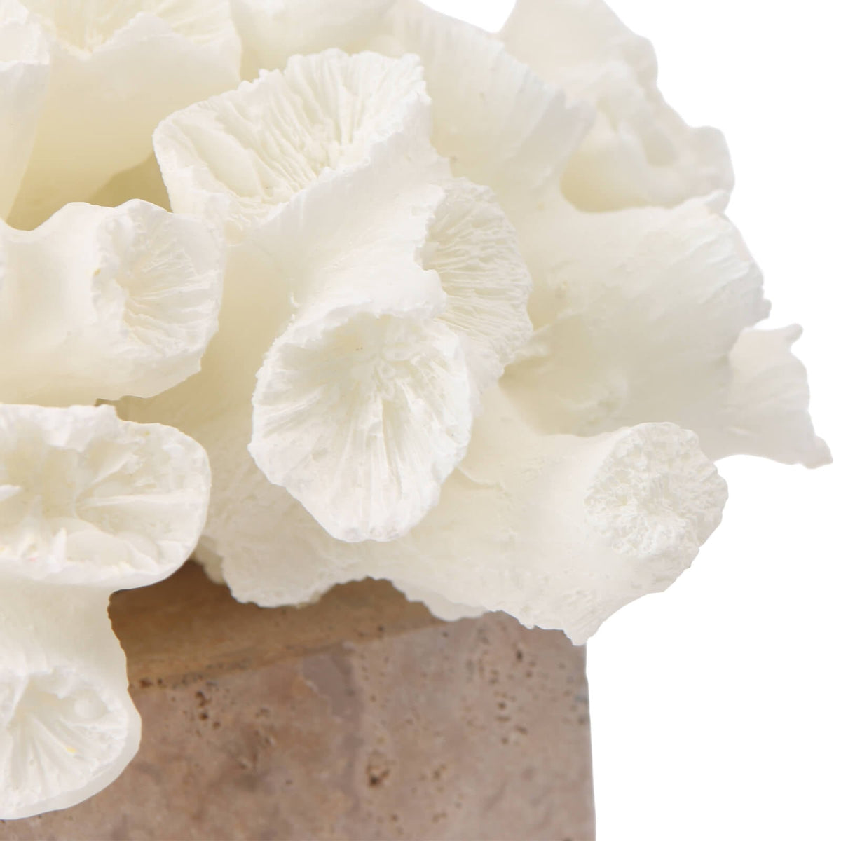Vela Coral Ornament