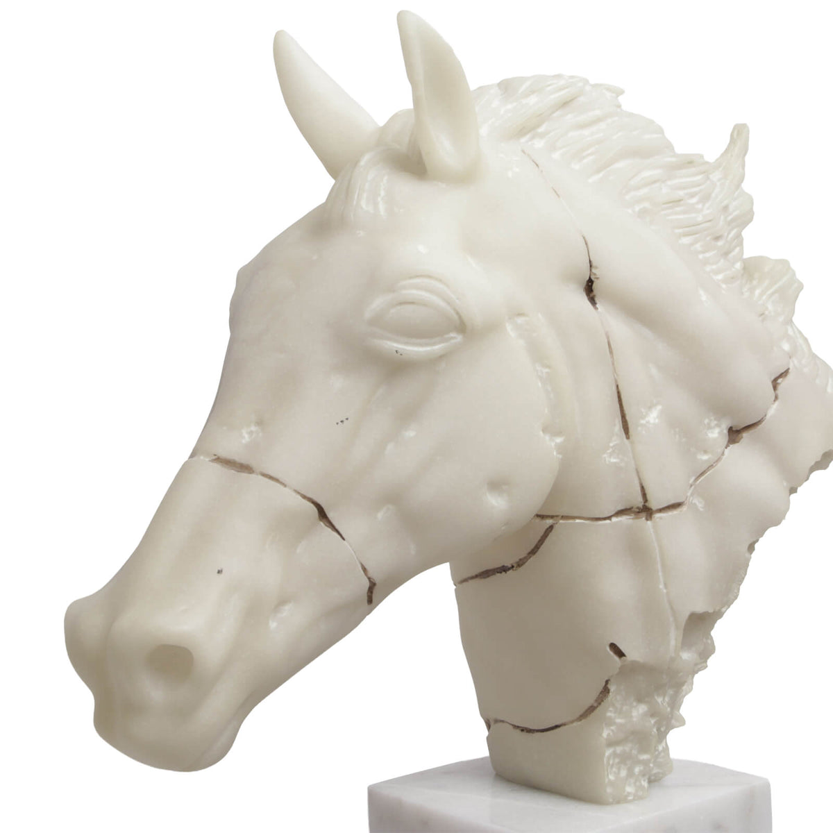 Fractured Steed Bust