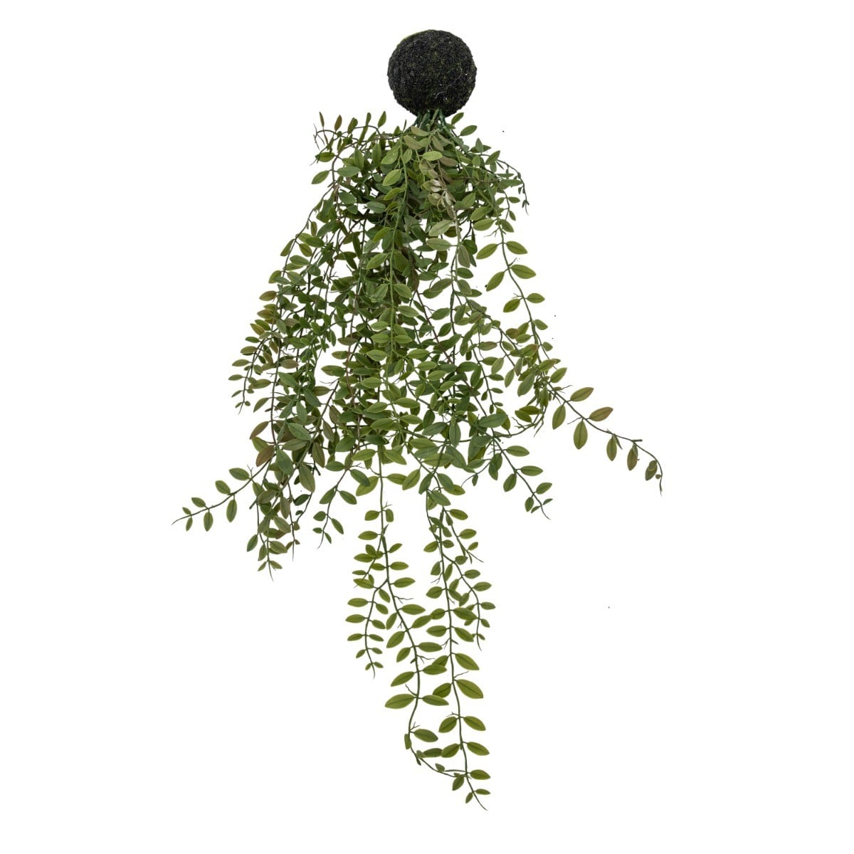 Trailing Fern in Soil Green L.60cm
