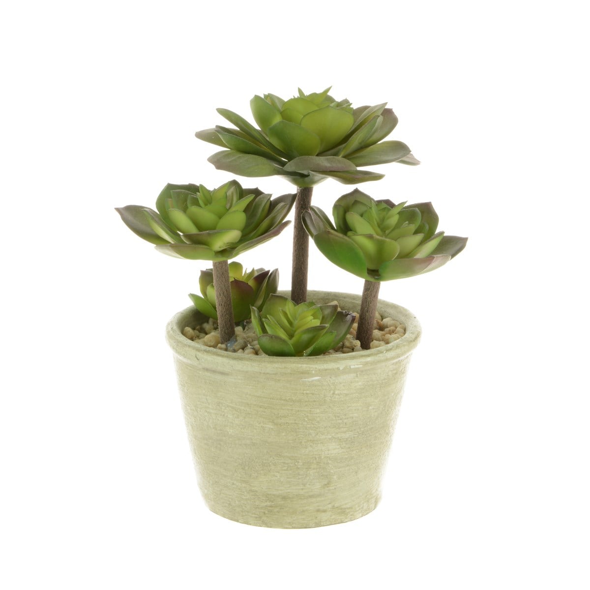 Potted Succulents Ceramic Pot H.19cm