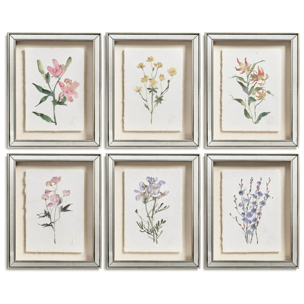 Petals and Process Framed Prints - Set of 6