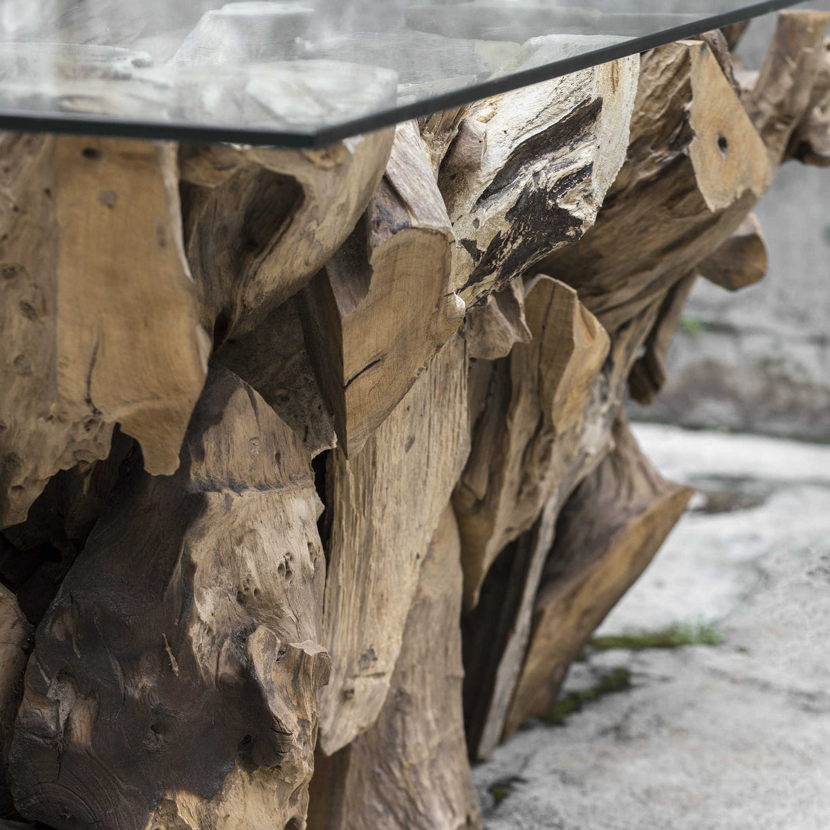 Teak Root Coffee Table