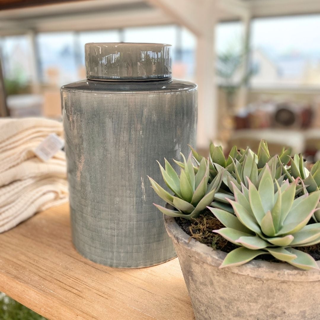 Sempervivum Succulent in Rustic Grey Pot