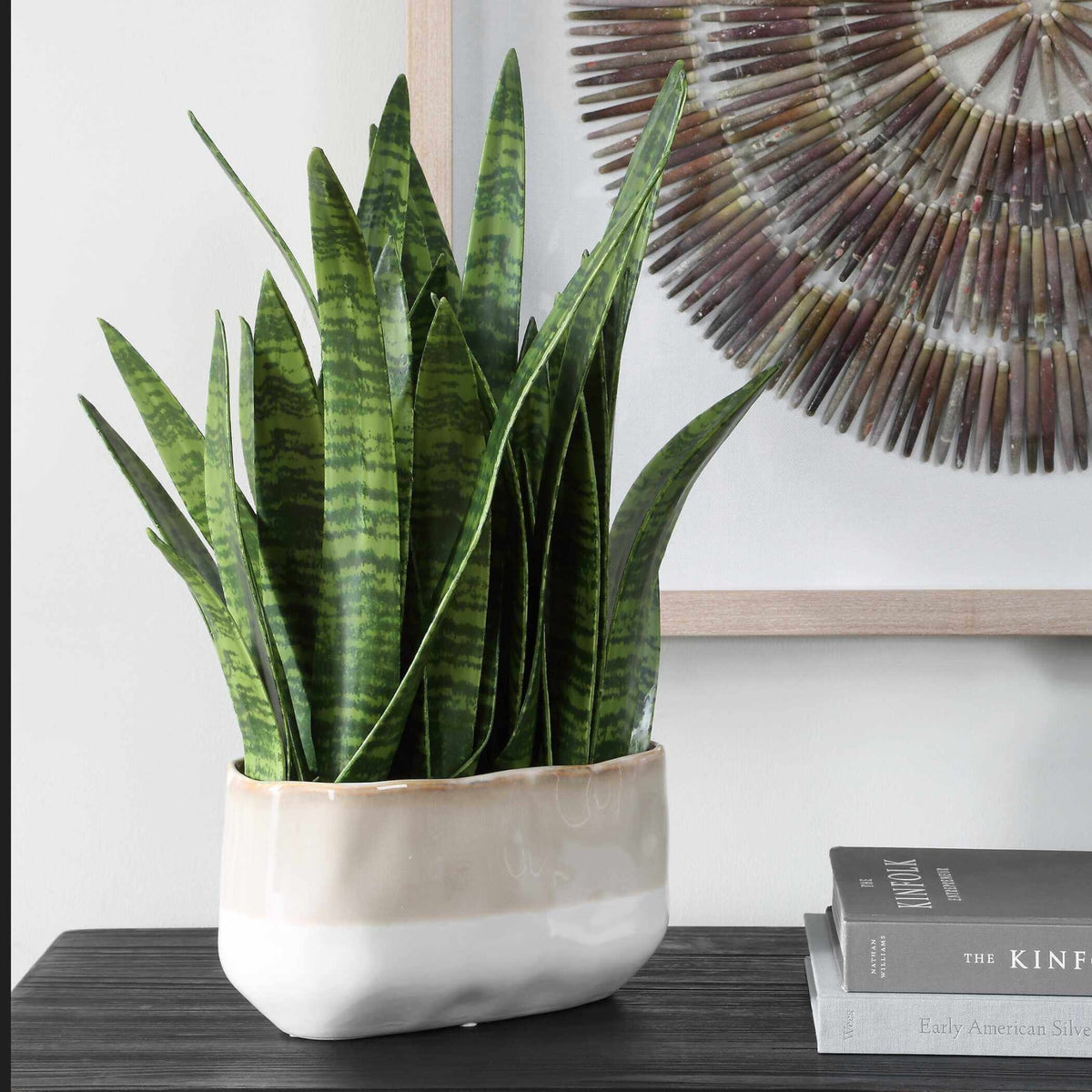Sansera Snake Accent Plant