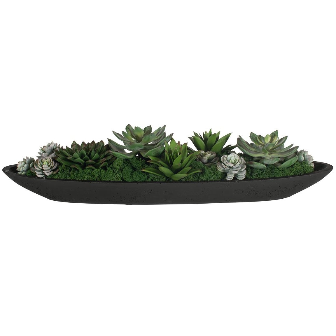 Verde Succulent Centerpiece In Bowl