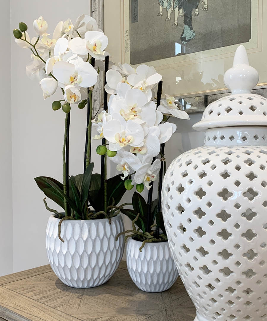 How to Style Artificial White Orchid Plants | Pavilion Broadway