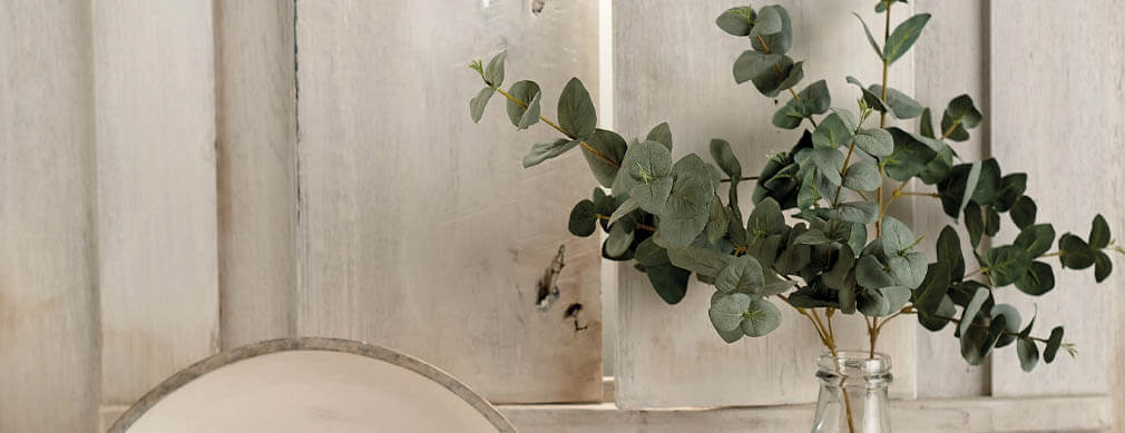 Eucalyptus