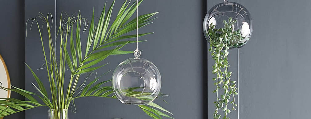 Trailing Plants