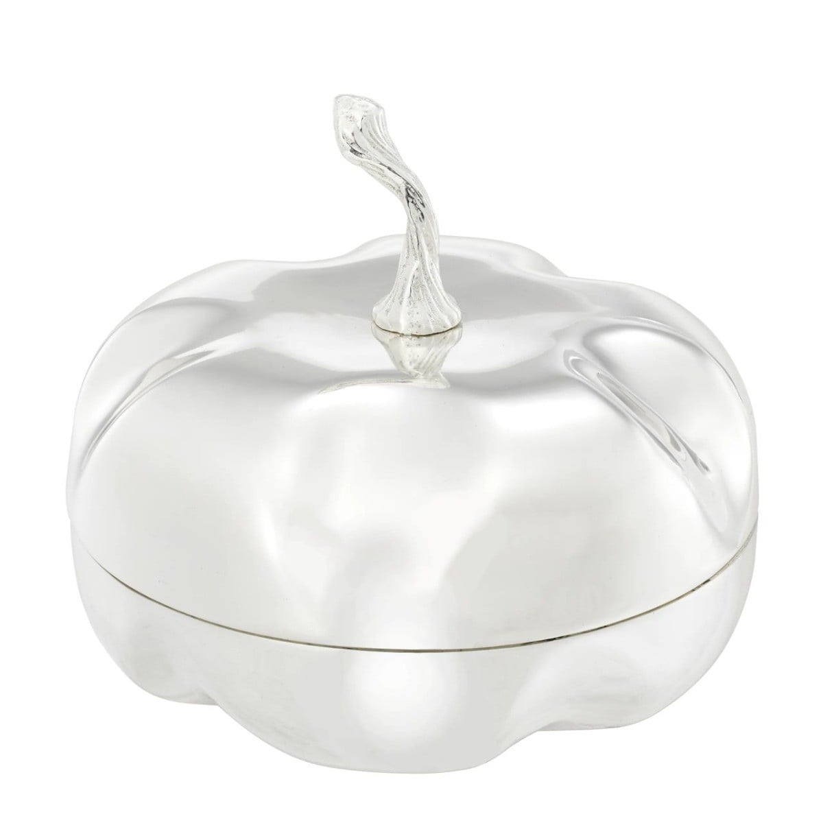 Zucca Box in Silver