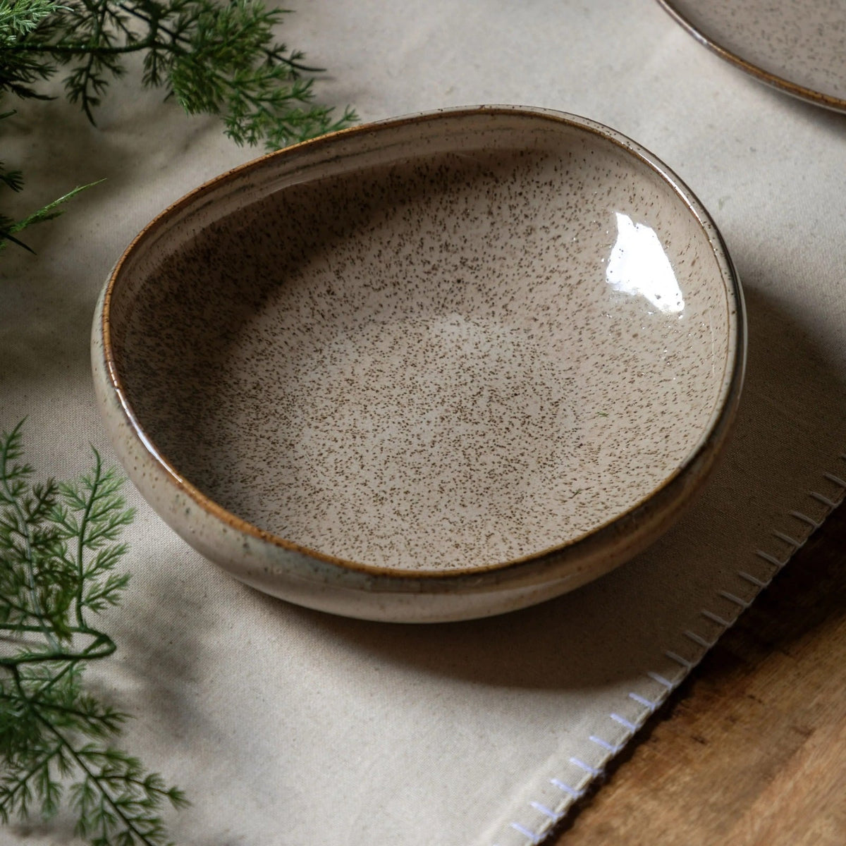 Speckle Glaze Pasta Bowl Oatmeal Set of 4