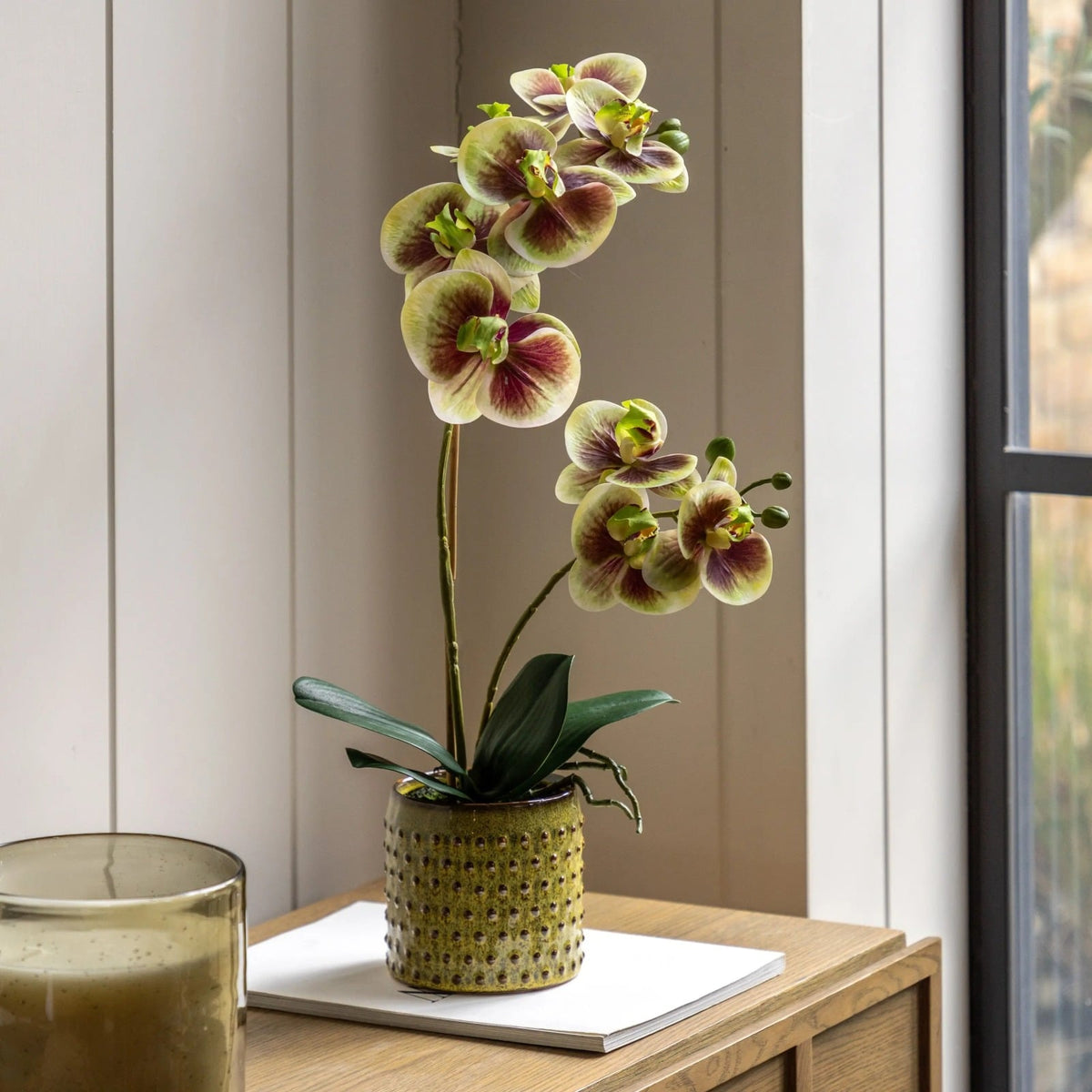 Orchid in Moss Ceramic Dot Pot - Small