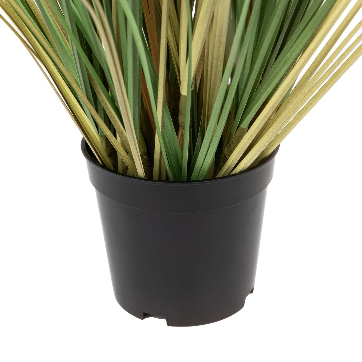 Potted Grass with Cattail Seed Heads Small