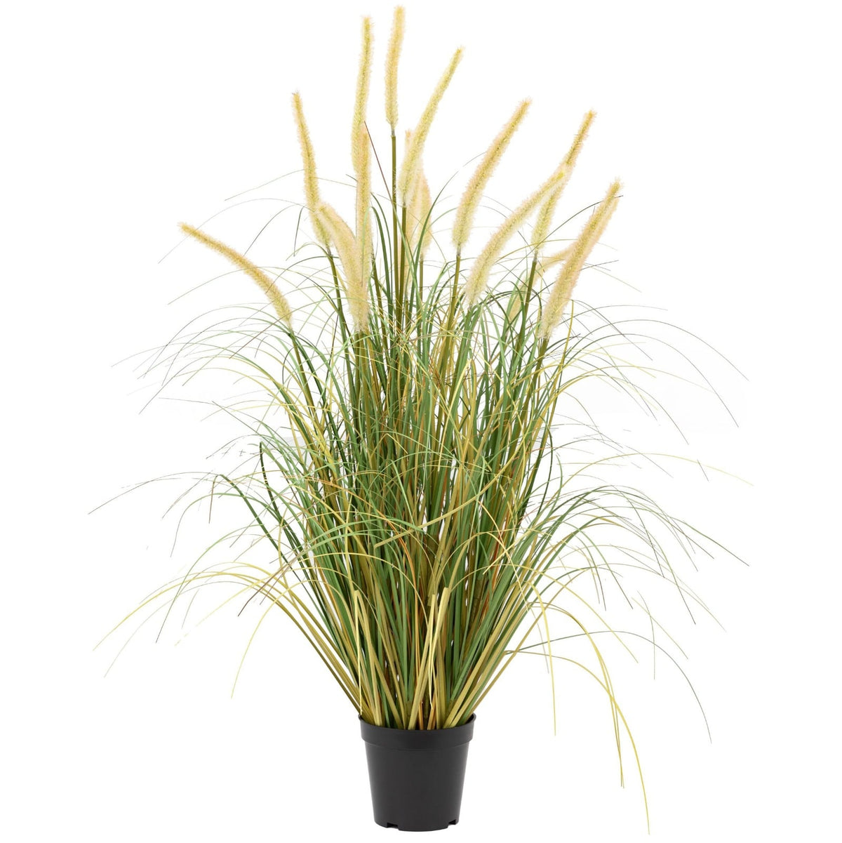 Potted Grass with Cattail Seed Heads Large