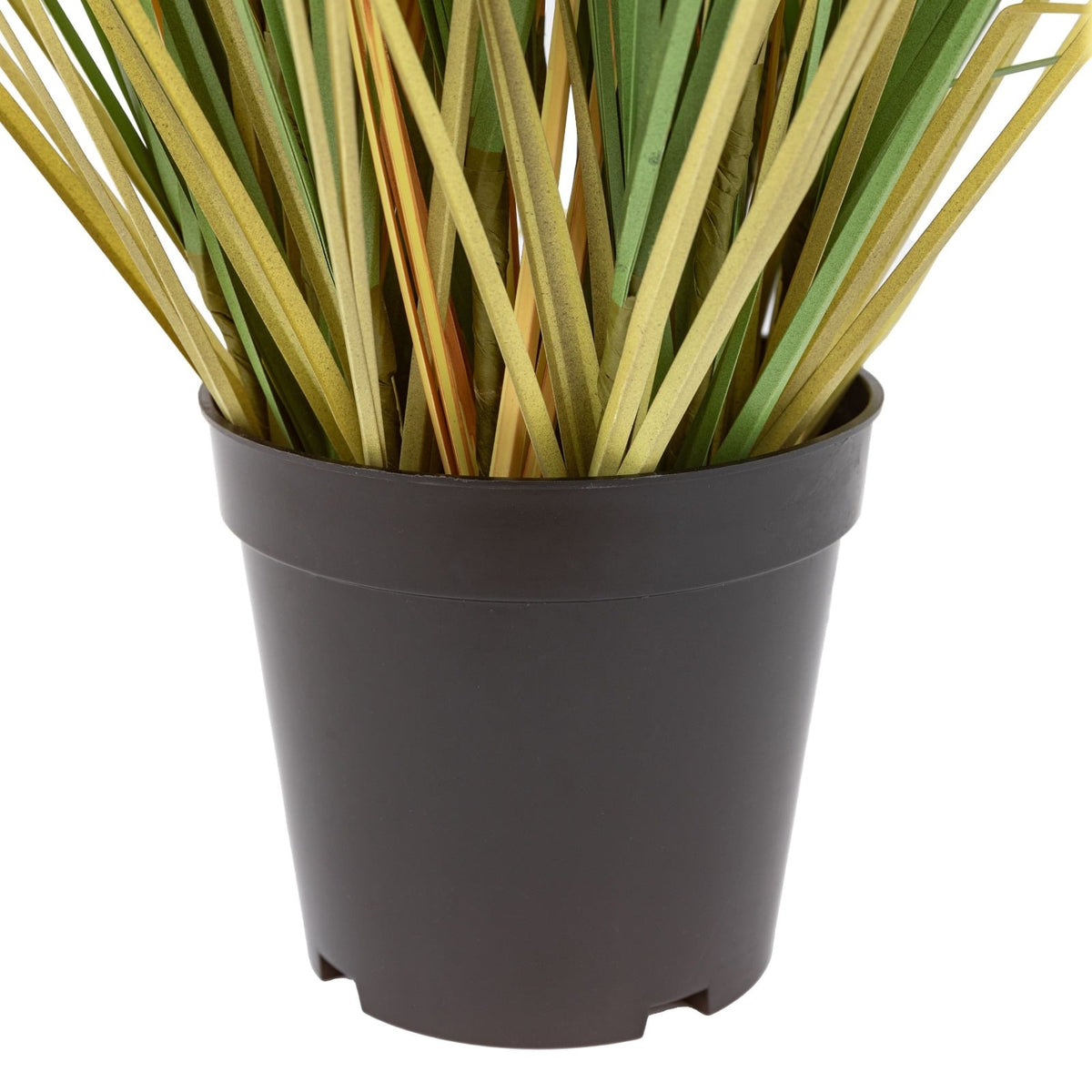 Potted Grass with Cattail Seed Heads Large