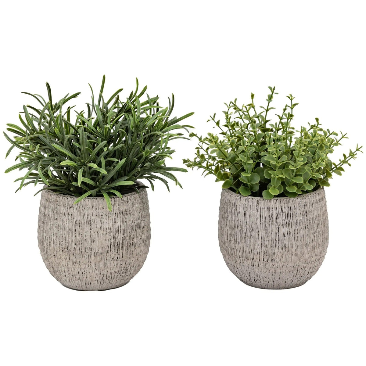 Potted Plant Ceramic Scratch Pot Rosemary Set of 2