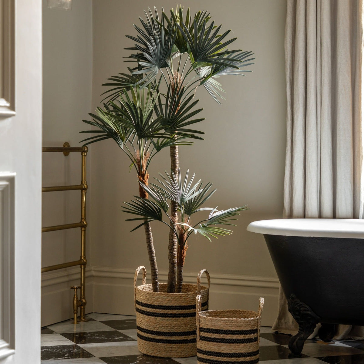 Potted Statement Palm Small