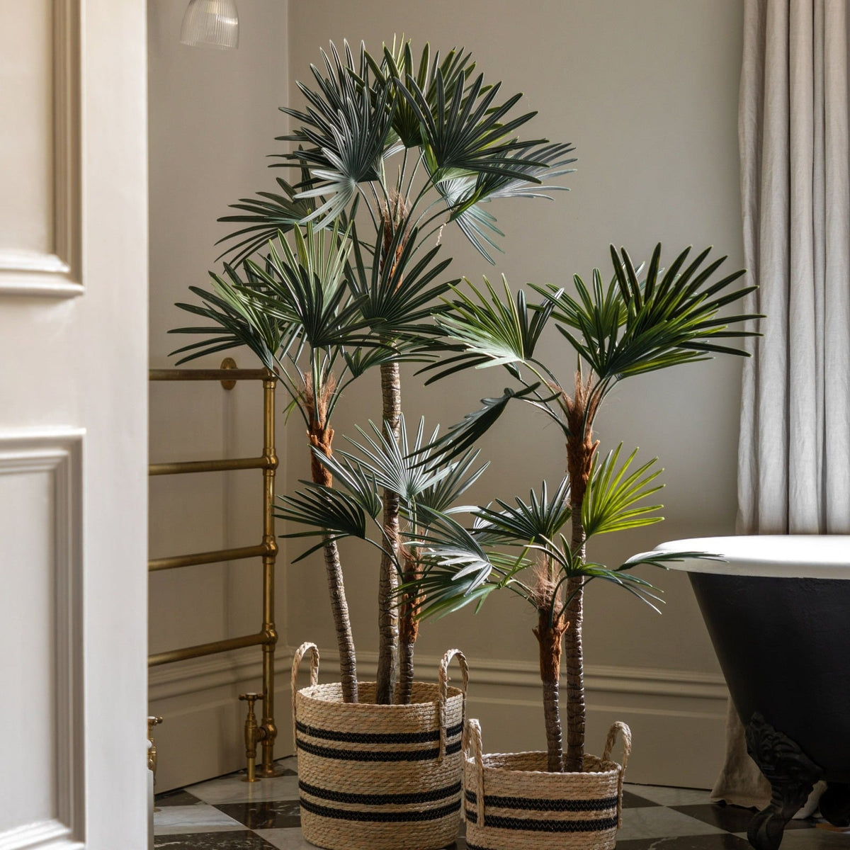 Potted Statement Palm Large