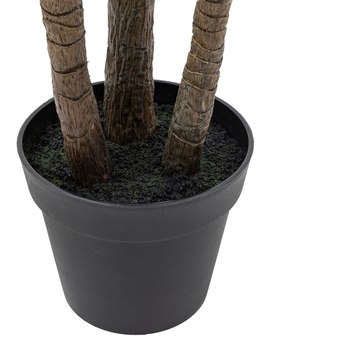 Potted Statement Palm Large