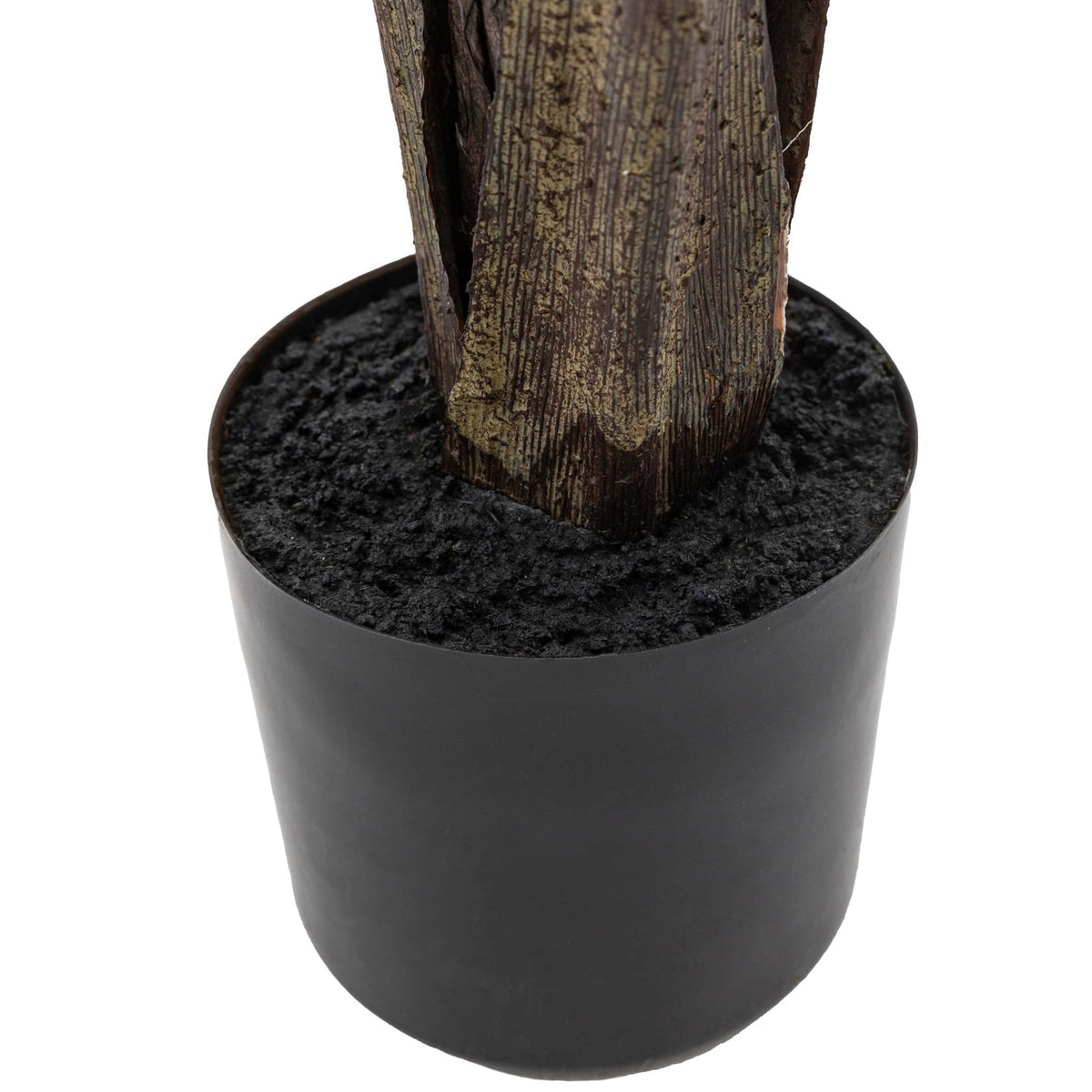 Potted Travellers Palm Tree 4ft