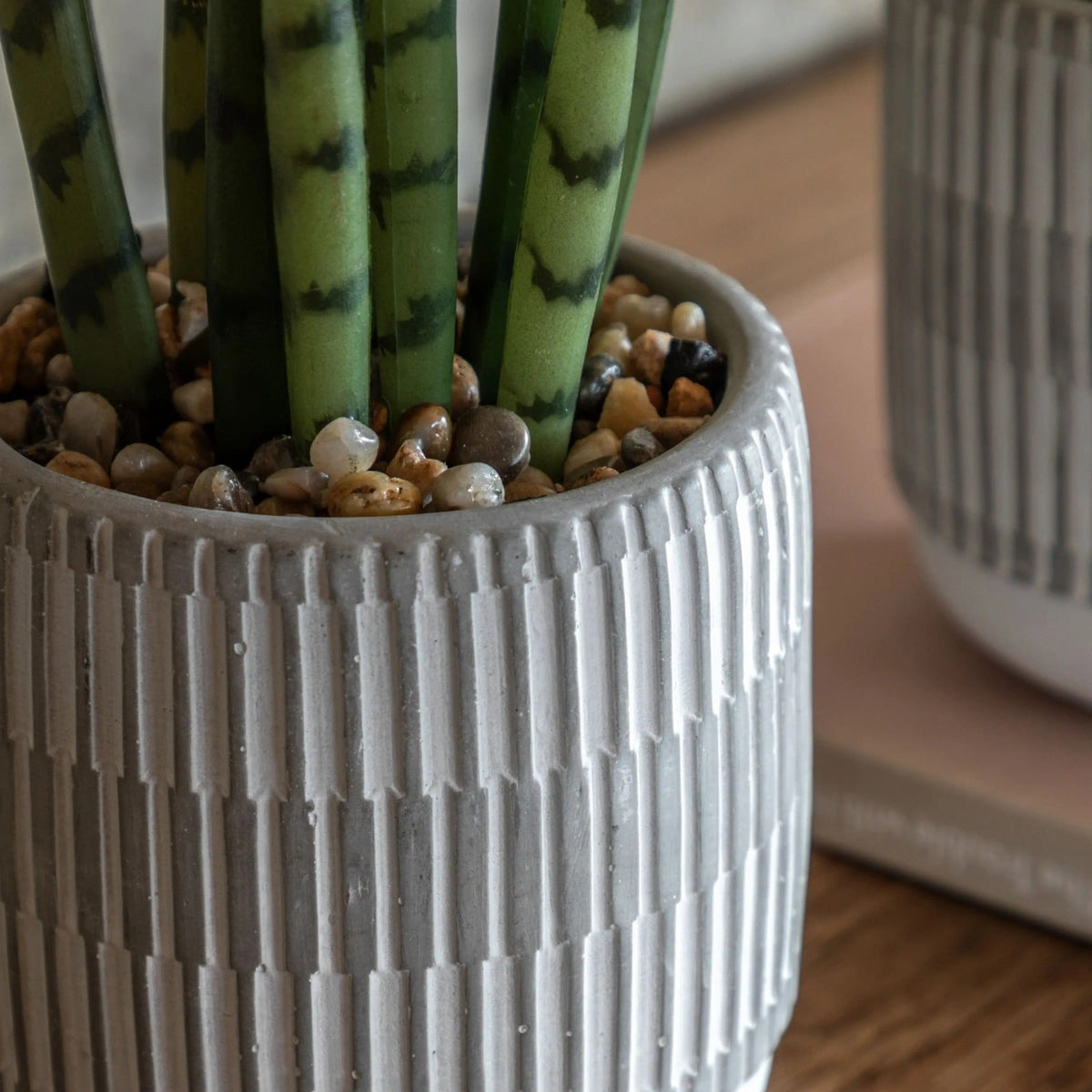 Small Succulents Ceramic Pots Set of 2