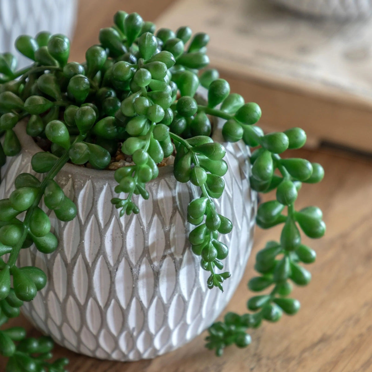 Small Succulents Ceramic Pots Set of 3