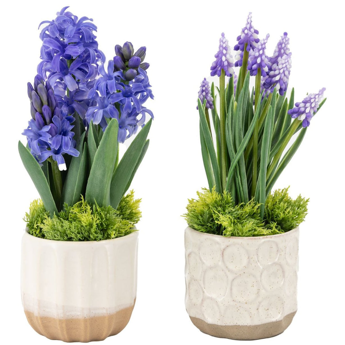 Spring Hydrangea Purple in Ceramic Pots Set of 2