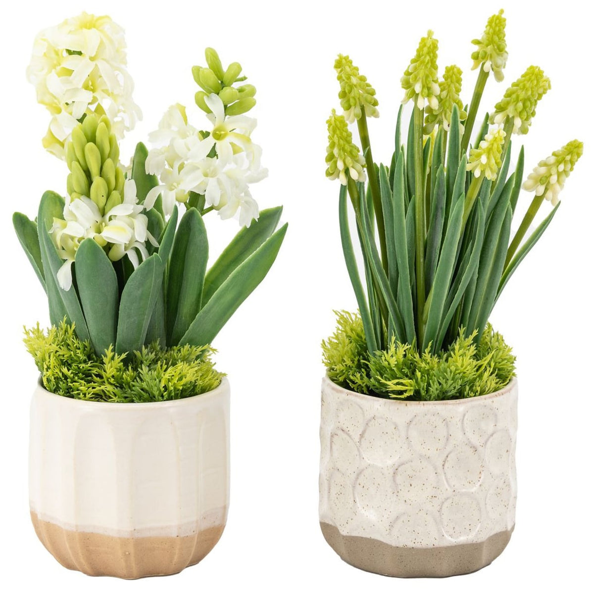 Spring Hydrangea White in Ceramic Pots Set of 2