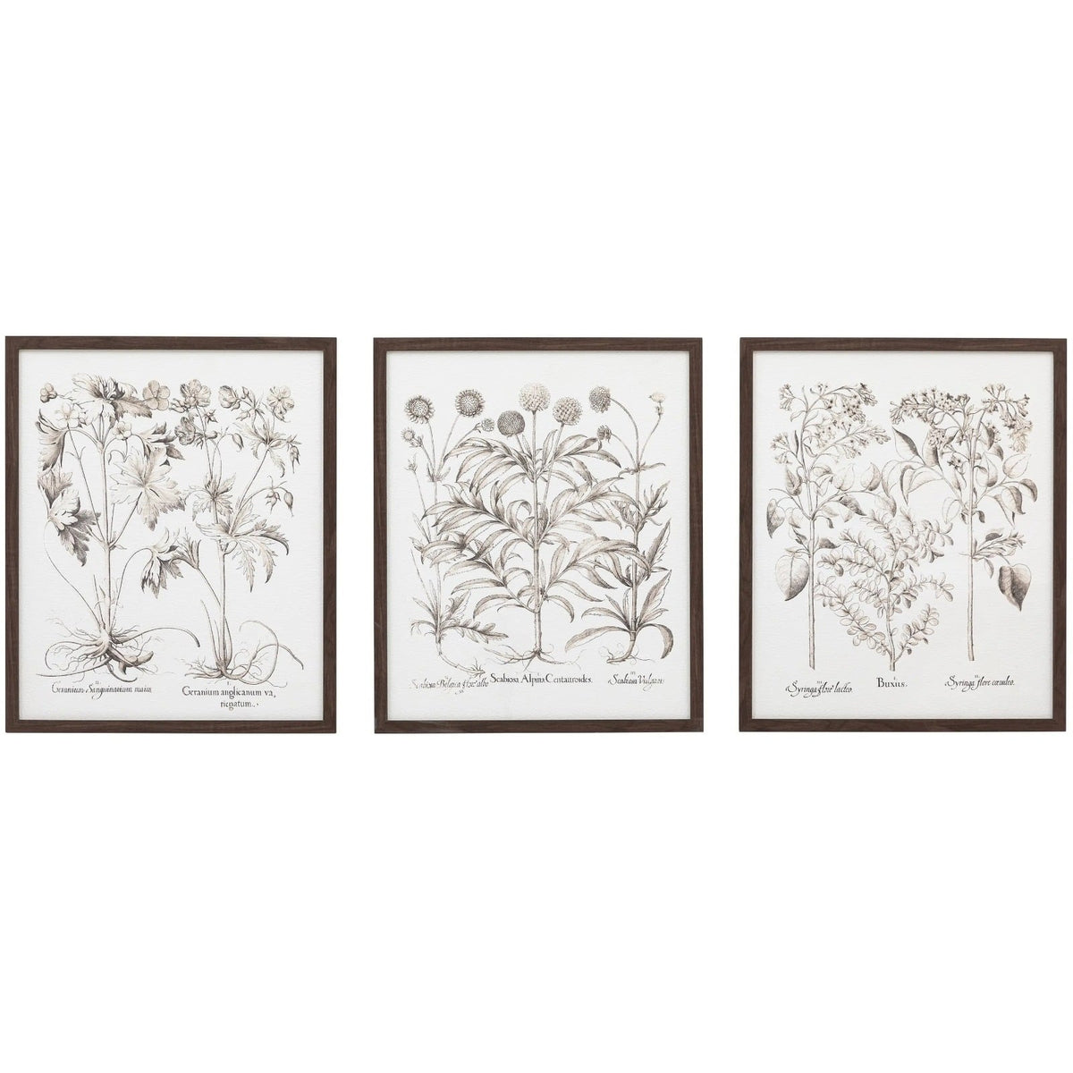 Evergreen Framed Art Set of 3