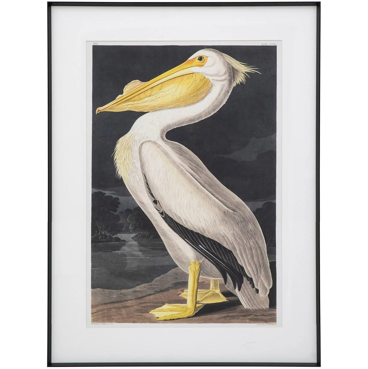 Pellicano Framed Art