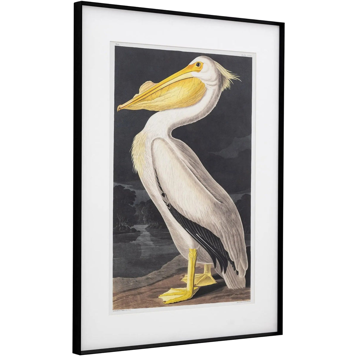 Pellicano Framed Art