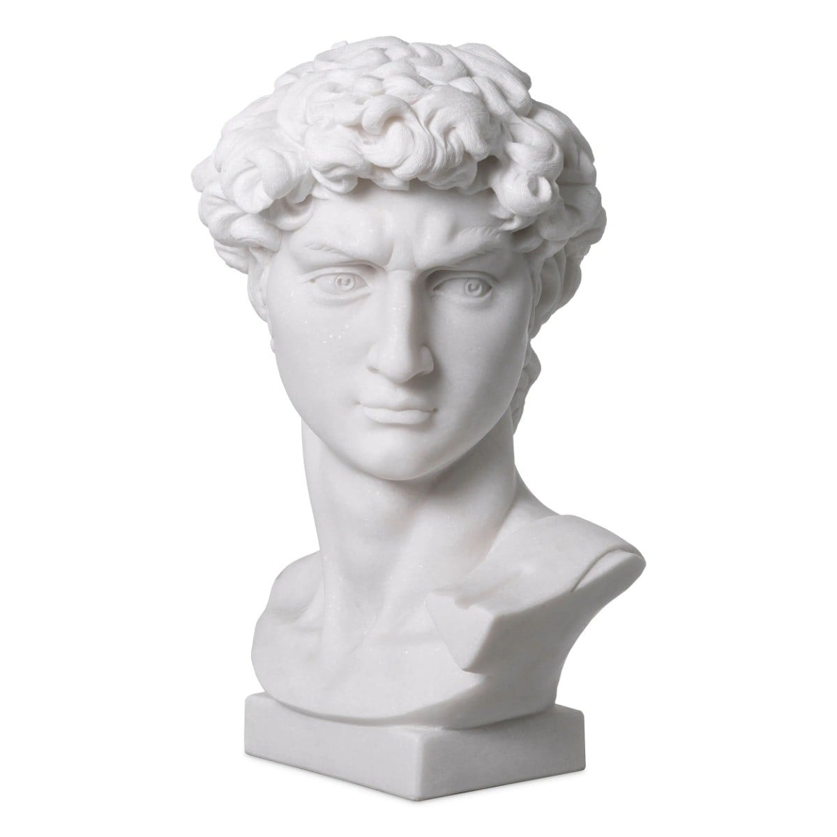 David Head Bust in Marble