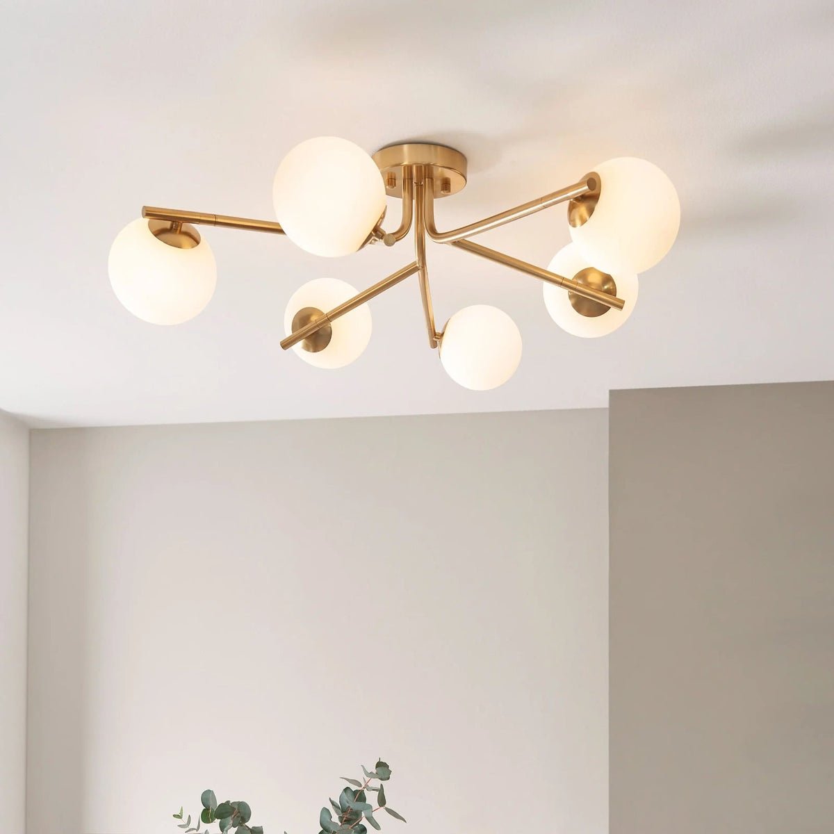 Dove Ceiling Light in Brushed Aged Brass