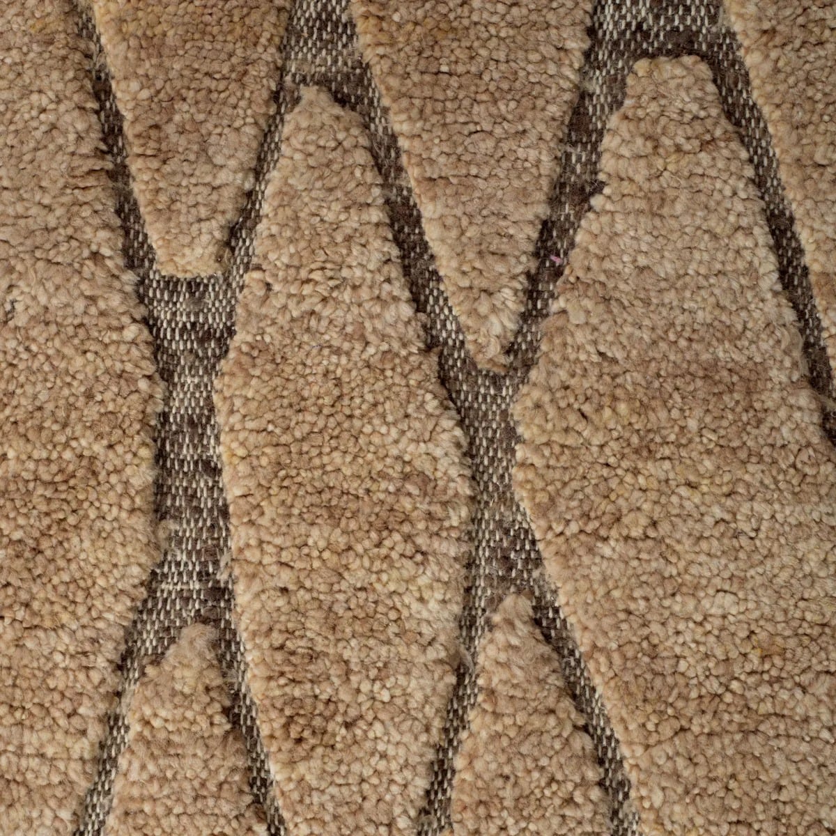 Coralie Rug in Brown - 300 x 400cm