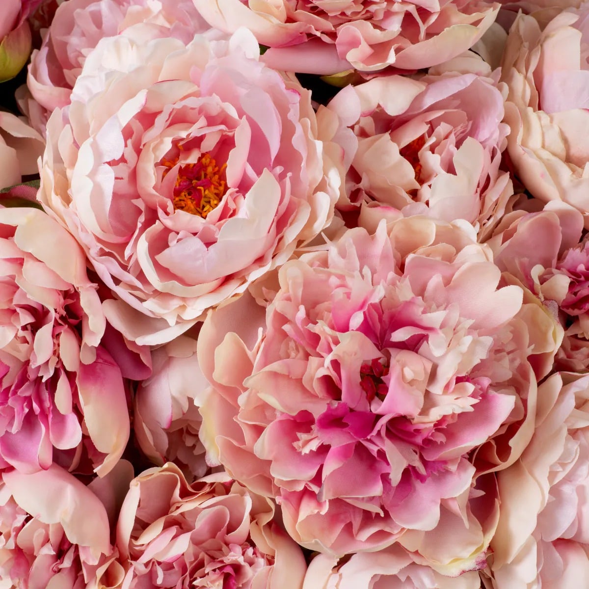 Bouquet of Peonies Real Touch 48 Pieces in 2 Varieties in Pink