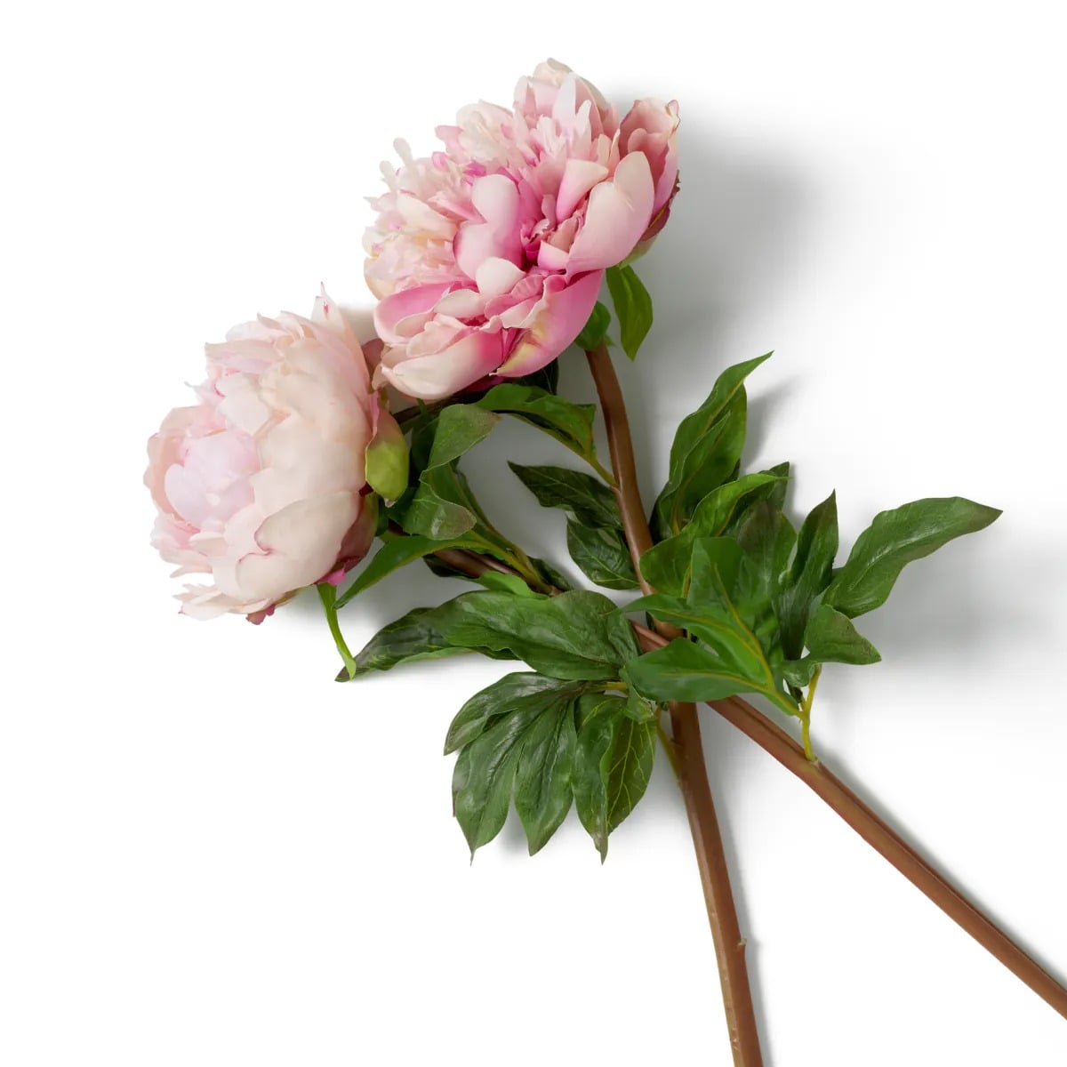 Bouquet of Peonies Real Touch 48 Pieces in 2 Varieties in Pink