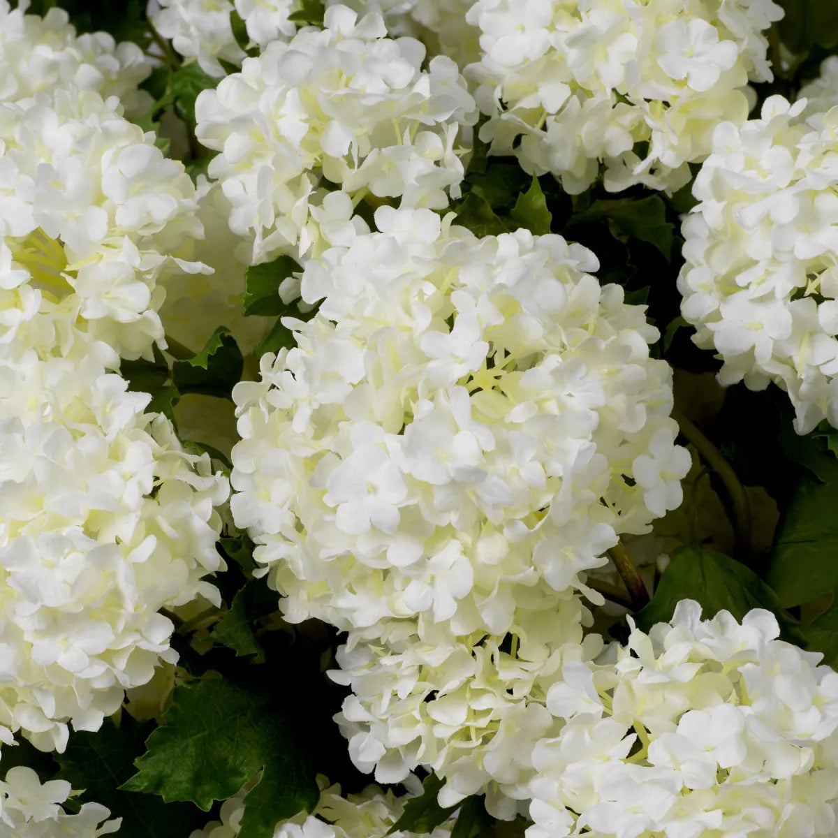 Bouquet of Hydrangeas Snowball Real Touch 36 Pieces in White