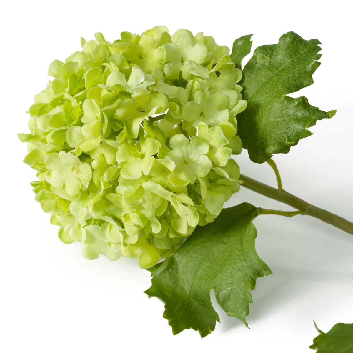 Bouquet of Hydrangeas Snowball Real Touch 36 Pieces in Green