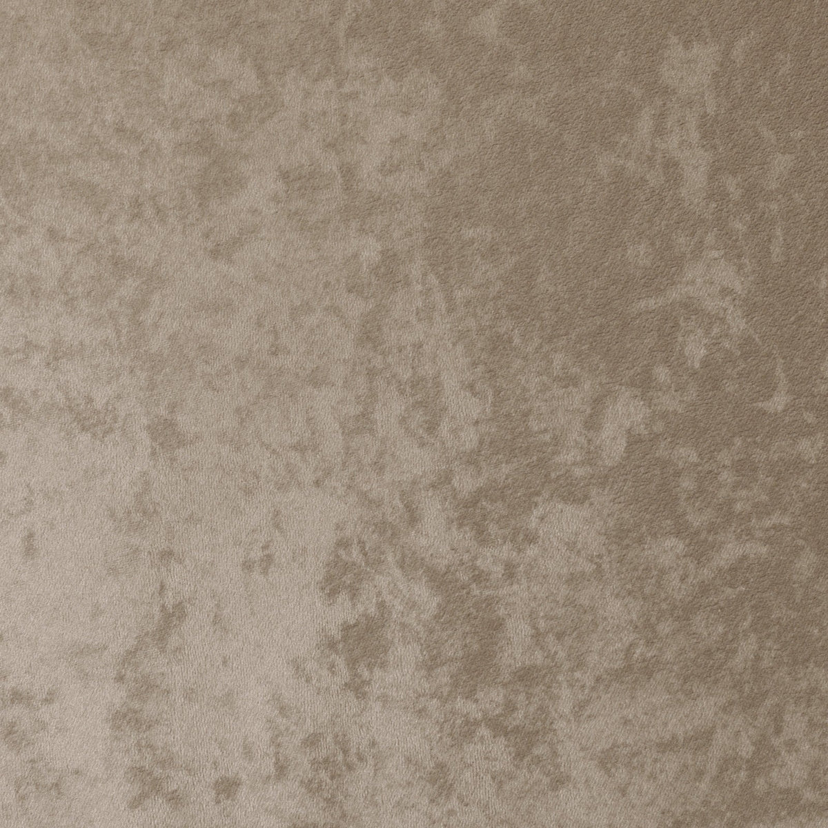 Chavelle Dining Chair in Neutral