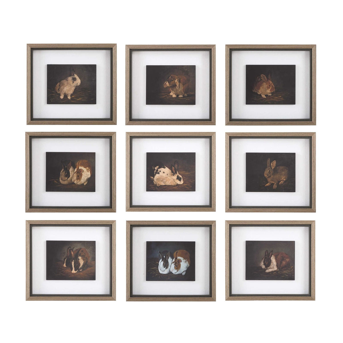 Resting Bunny Framed Prints Set of 9