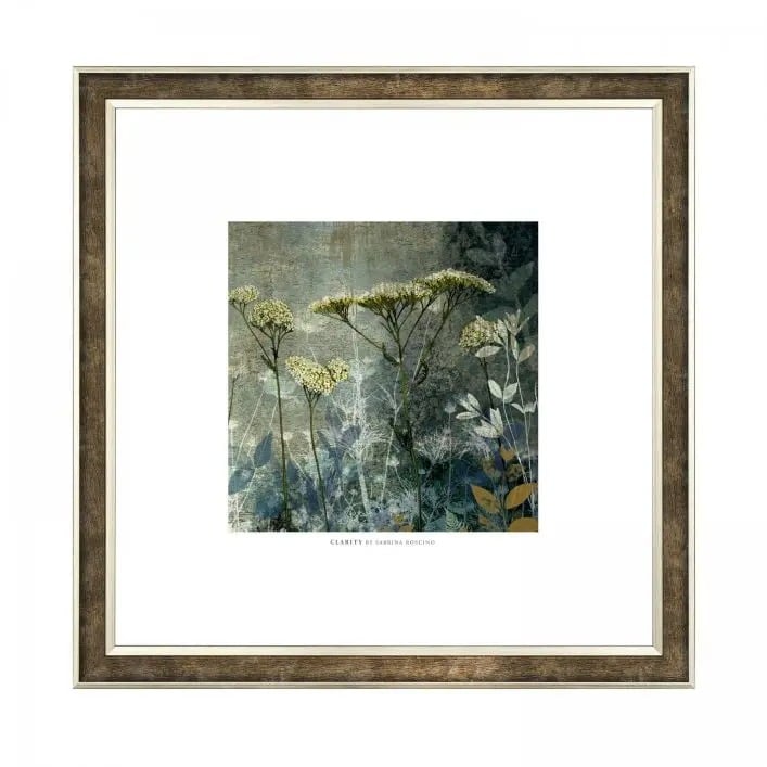 Clarity Framed Art