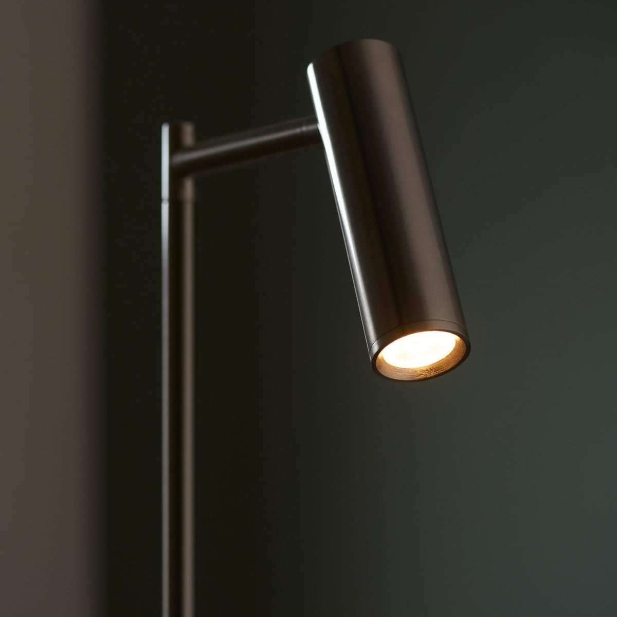 Devoted Reader 1 Floor Lamp Satin Nickel