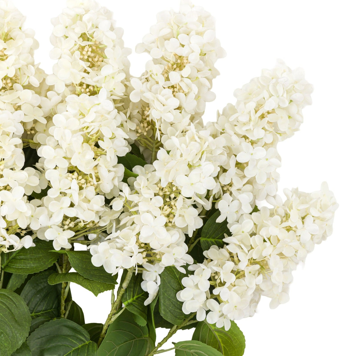 Vintage Cone Hydrangea Floral Stem Ivory Set of 12